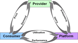 Complex relationships between Providers, Consumers and Platforms